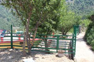 dhanaulti groove garden