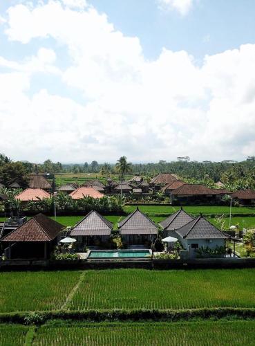 paraiso cottage ubud