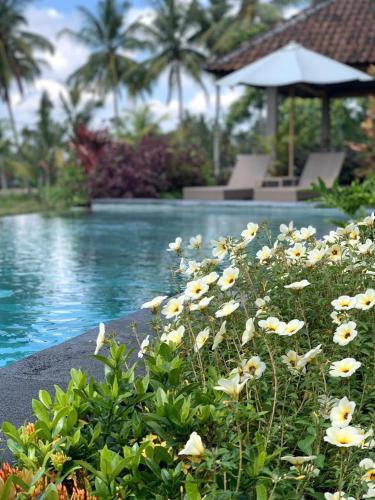 paraiso cottage ubud