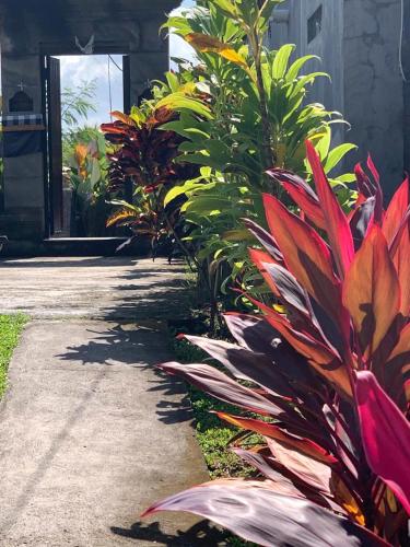 paraiso cottage ubud