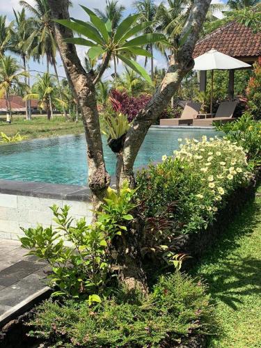 Paraiso Cottage Ubud,Ubud>>Bali,3 star