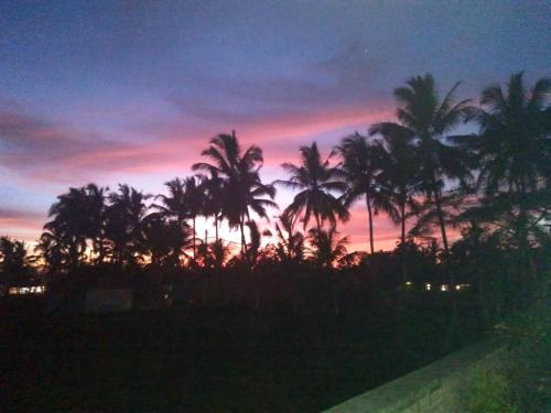 paraiso cottage ubud