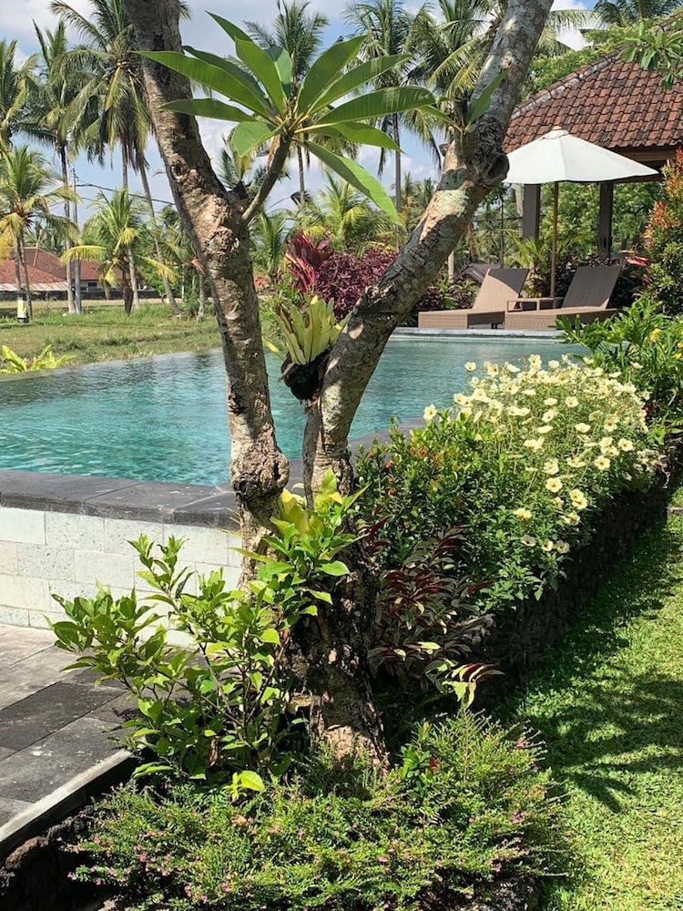paraiso cottage ubud