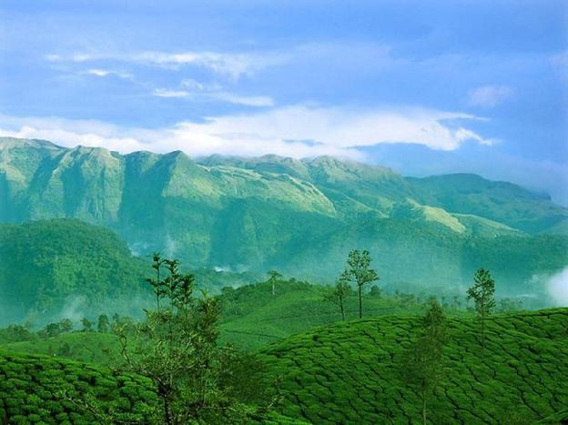 valparai