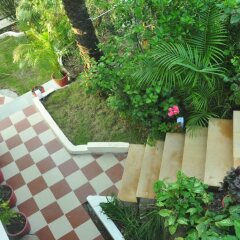 mount abu