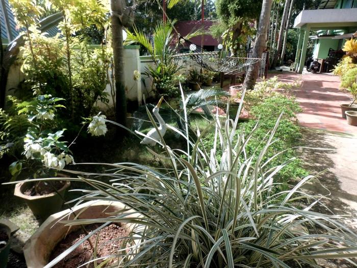 green garden ayurvedic resort