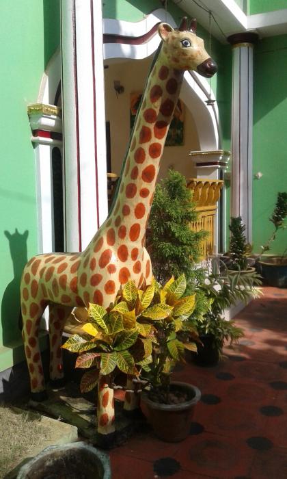 green garden ayurvedic resort