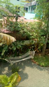 green garden ayurvedic resort