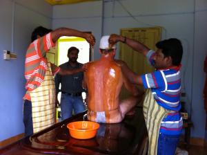 green garden ayurvedic resort