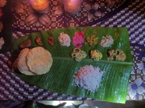 green garden ayurvedic resort