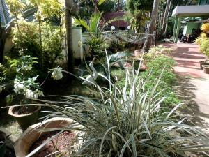 green garden ayurvedic resort