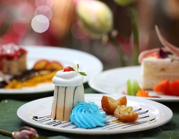 uds backwater resort