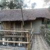 majuli