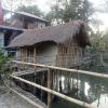 majuli