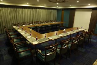 minerva grand nellore