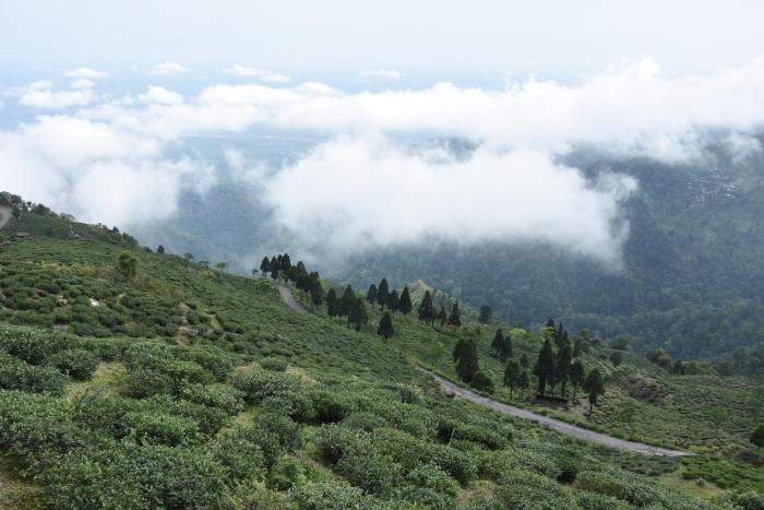 kurseong