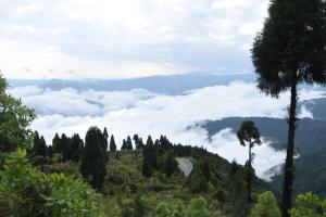 kurseong