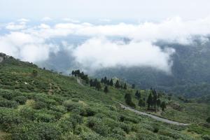 kurseong