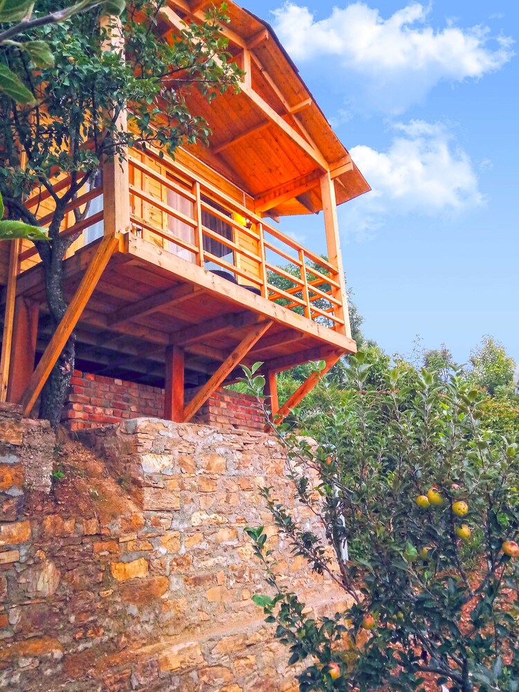 treehouse resort