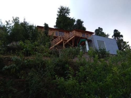 treehouse resort