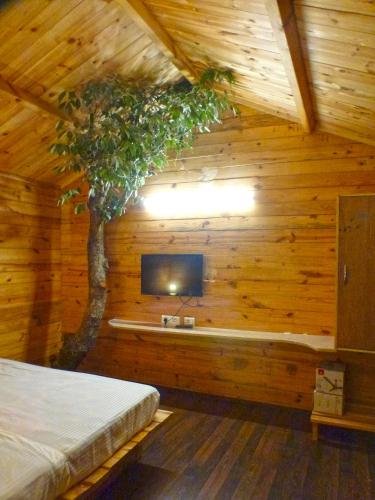 treehouse resort
