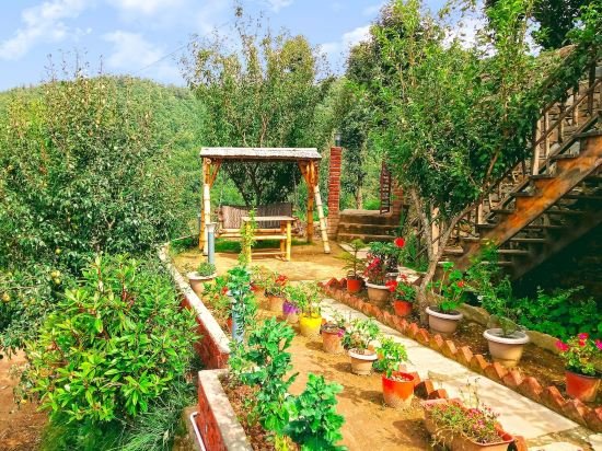 treehouse resort