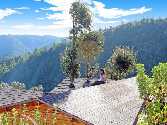 treehouse resort