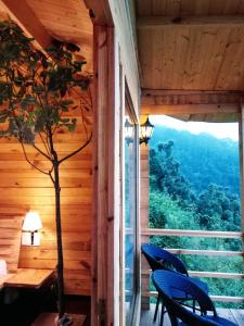 treehouse resort