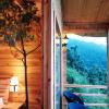 treehouse resort