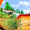 treehouse resort