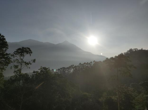 munnar summer castle