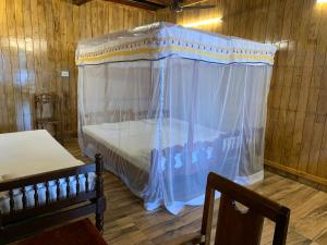 alleppey