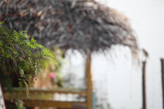 alleppey