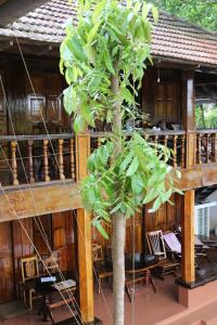 alleppey
