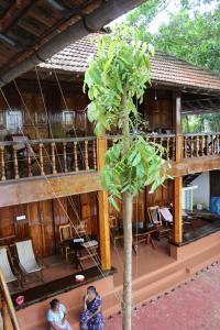 alleppey