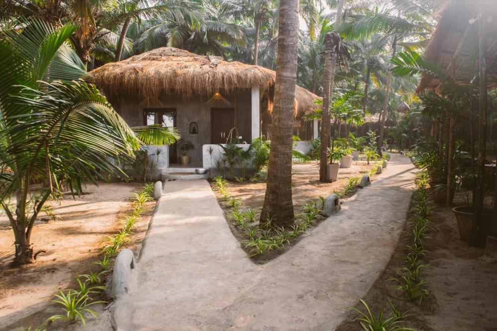 palm grove beach resort