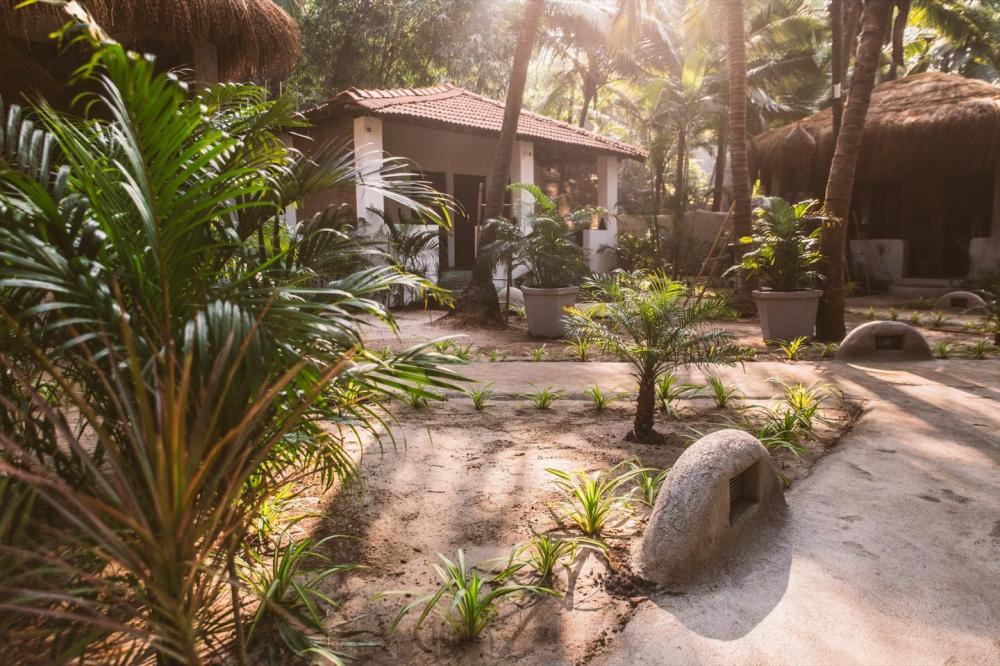 palm grove beach resort