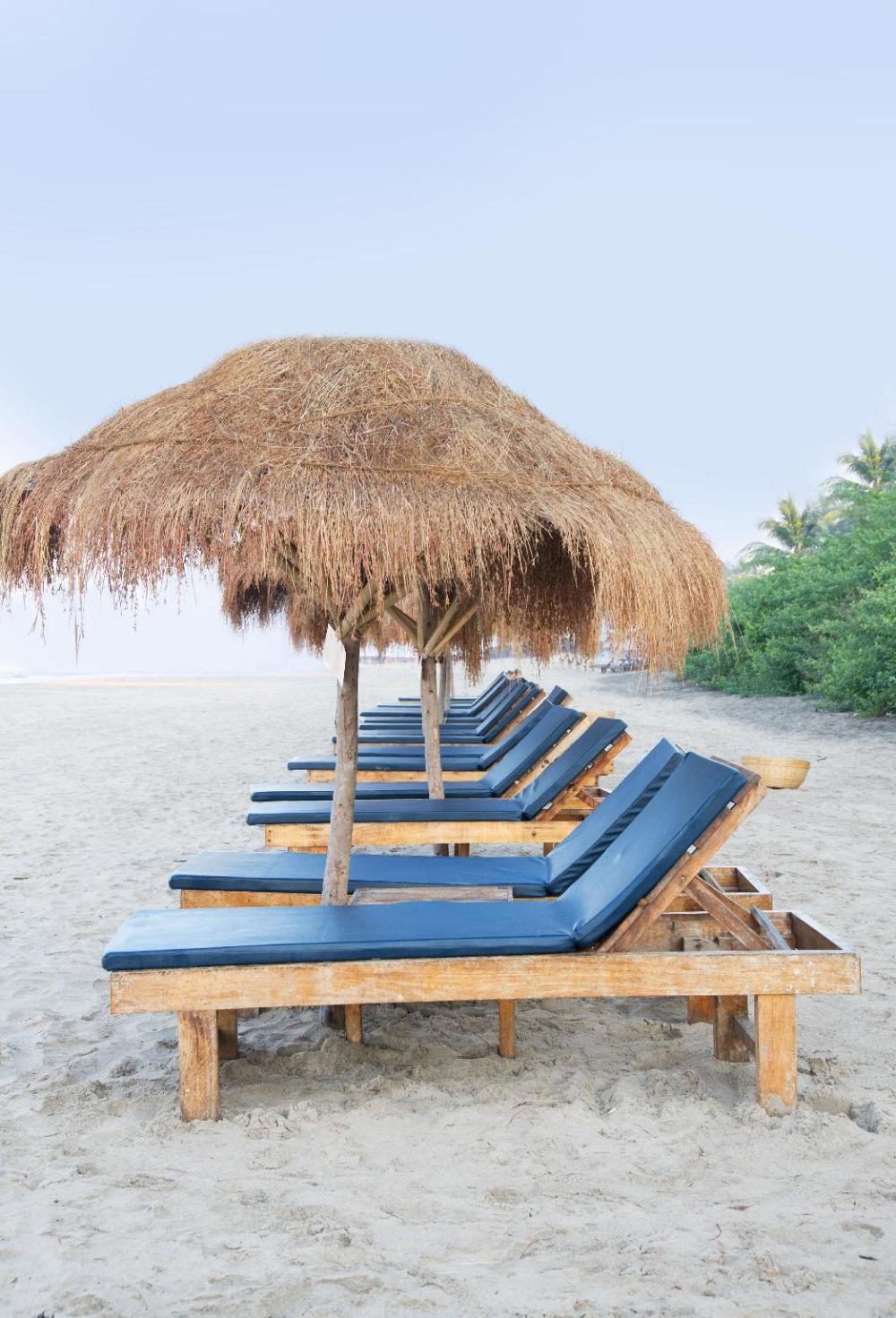 palm grove beach resort