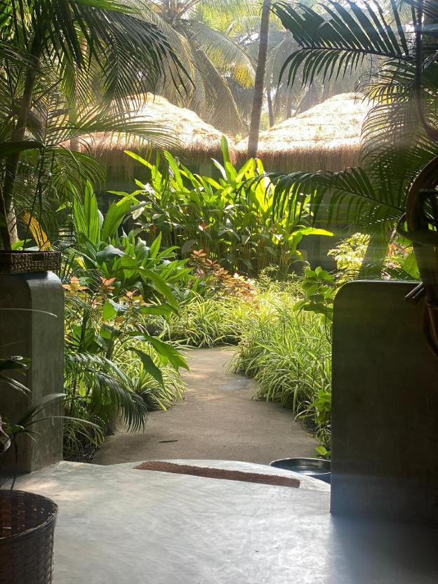 palm grove beach resort