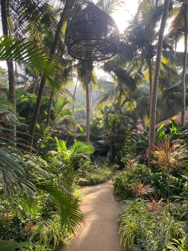 palm grove beach resort
