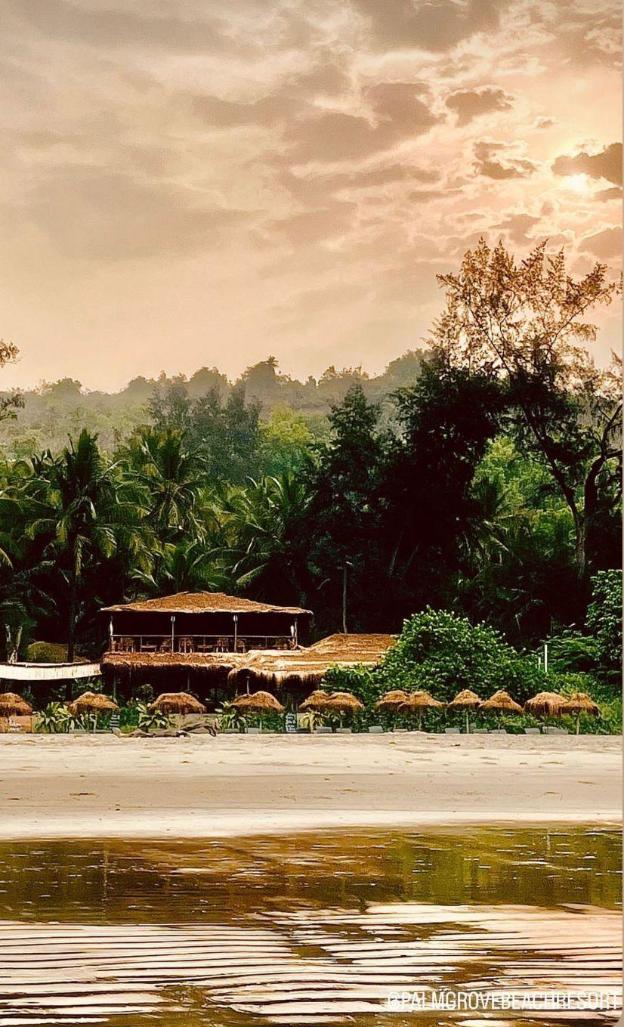 palm grove beach resort