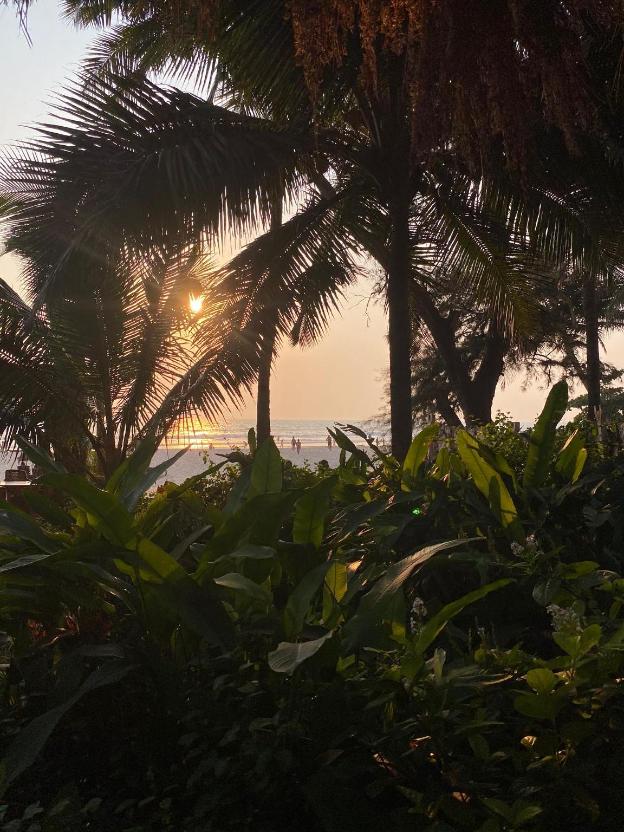 palm grove beach resort