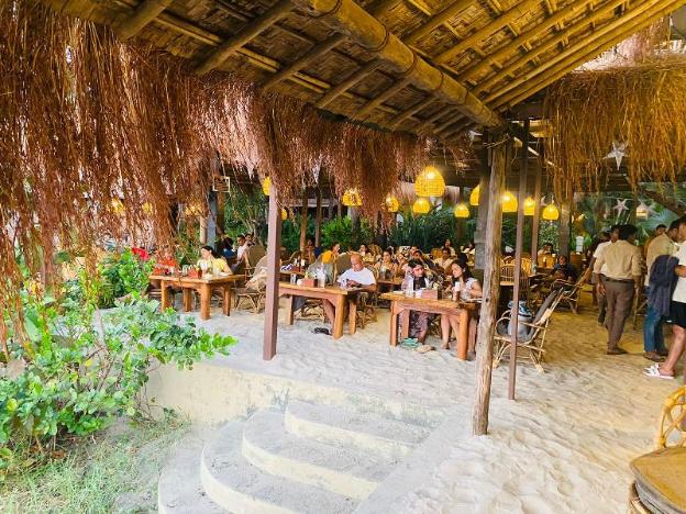 palm grove beach resort