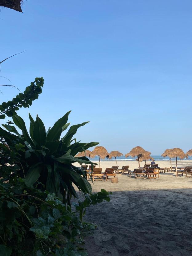 palm grove beach resort