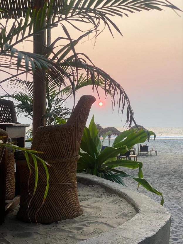 palm grove beach resort