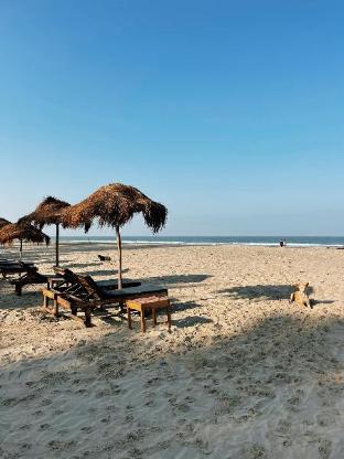 palm grove beach resort