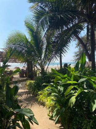 palm grove beach resort