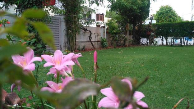 friends and family home stay