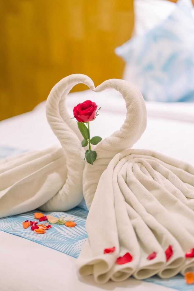 caroline guest house