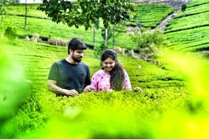 munnar